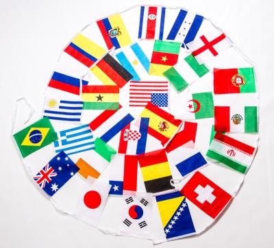 China Health Care Institutes Country Flags Mini Polyester Fabric String Flag Different Country String Flag Bunting for sale