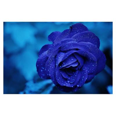 China Waterproof+ECO-Friendly Flowers Landscape Diamond Painting Dropshipping Blue Mounted Diamond Embroidery Wall Art Home Decoration Diamond Painting Kits for sale