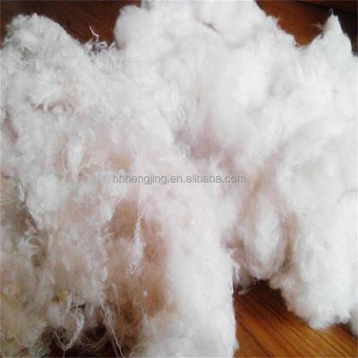 China Polyester Staple Fiber Antistatic Recycling Synthetic Waste for sale