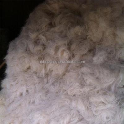 China Yarn.felt scoured North China cut white /grey goat hair for sale