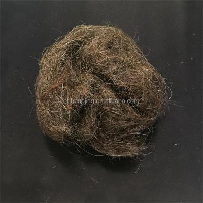 China Horse Hair Rope Washed Good Quality Ponytail Mane Hair Clean Waste For Mattress for sale