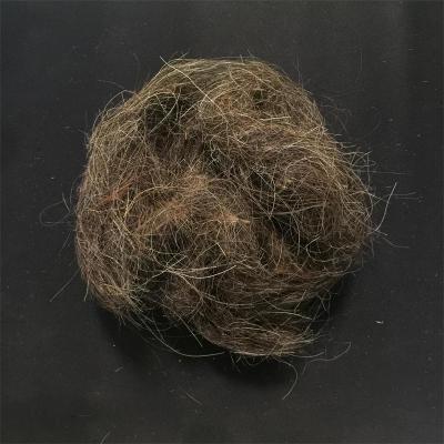 China Horse Hair Rope Washed Good Quality Horse Hair Curved Clean Waste For Mattress for sale