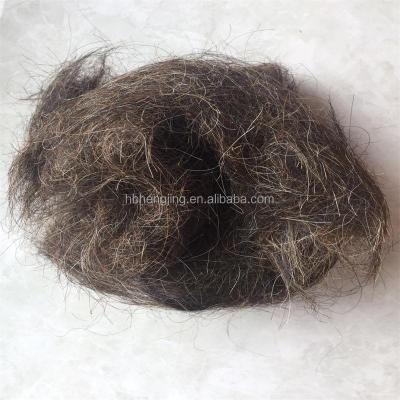 China Horse Hair Rope Washed Good Quality Clean Horse Hair For Mattress Or Rope for sale