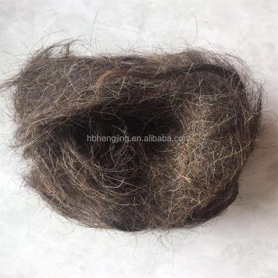 China Horse Hair Rope Washed Horse Hair For Mattress for sale