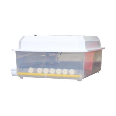 China Hot Sale 16 Pcs Easy Mini Automatic Egg Incubator Hatching Machine Industrial Incubator for sale