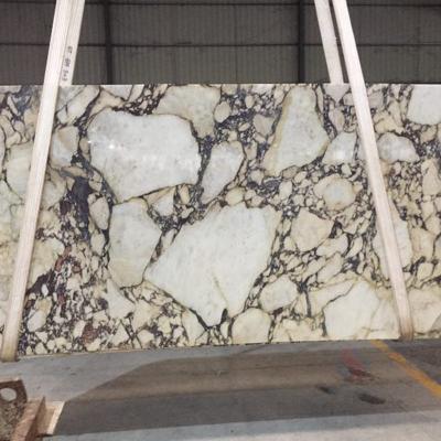 China Best Quality Modern Italy Calacatta Viola White Marble Purple Vein Slabs Price for Benchtop and Countertop for sale