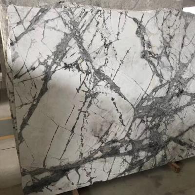 China Factory Price Modern Invisible Light Marble, Gray White Marble Slab Tiles With Dark Gray Veins, Invisible Gray Marble for sale