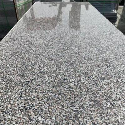 China Low price modern chinese rosa porino pink granite G664 for stairs for sale