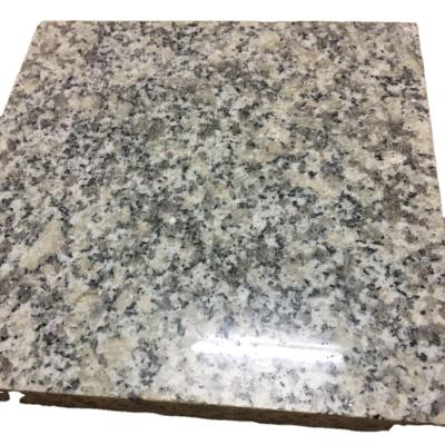 China 240X80Upx2CM Slab Modern Light Gray Granite White Granite G603 for sale