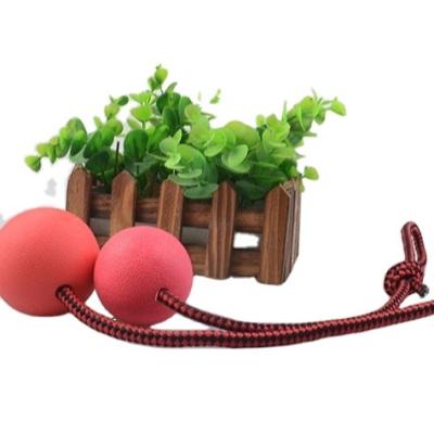 China Viable Popular Soft Rubber Pet Toy Dental Interactive Toys Rubber Dog Ball Dog Training Chew Toy for sale