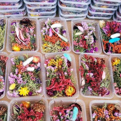 China Diy Accessories Dried Plants Pressed Flowers Making Craft DIY Accessories 1 Box Dried Plant Per Flower Random Mix For Resin Jewelry for sale