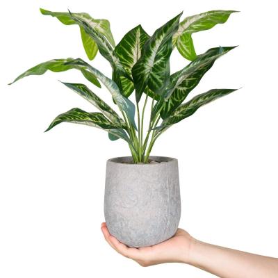 China Factory Manufacturer Cheap Faux Greenery Artificial Plants In Pots For Indoor Home Decor for sale