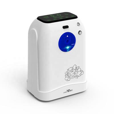 China High Quality Adjustable Atomization 1L Oxygenerator Portable Low Noise Home Oxygen Concentrator for sale