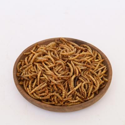 China Factory Direct Sale Viable Natural Meal Bird Pet Food Tenebrio Dried Mealworm for sale