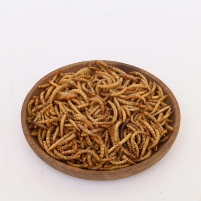 China Factory Direct Sale Viable High Protein Dry Bird Pet Food Mealworm for sale