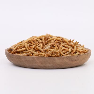 China China Sustainable Factory Producing Dried Mealworms For Pet Poultry Feed for sale