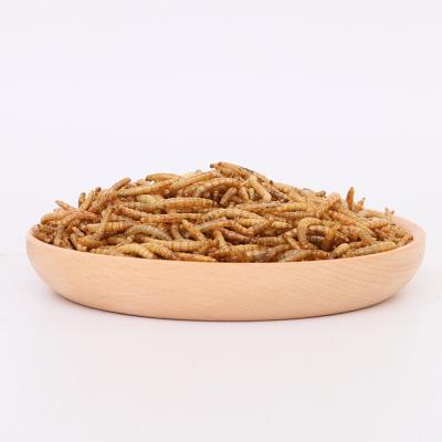 China Sustainable Hot Selling Dried Pet Snacks Nutrition Mealworms for sale