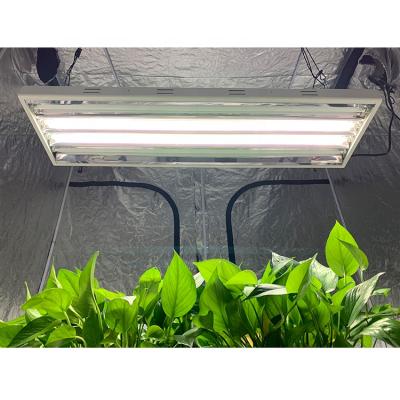 China Fluorescent Lamp Panel T5 HO Fixture Grow Lights 4ft 8 inch t5 bulb 24 fluorescent ho straight for sale