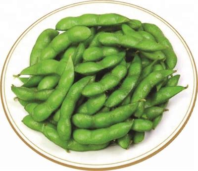 中国 Frozen green fresh delicious Japanese Edamame Soy Bean 販売のため