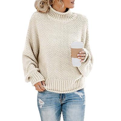 China Wholesale 2021 Ladies Turtle Neck Breathable Knitted Sweater Plus Size Women Autumn Long Sleeve Sweater Knitwear for sale