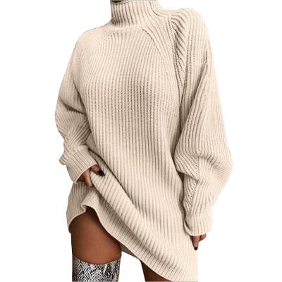 China Anti-wrinkle 2021 New Loose Casual Sweater Autumn Winter Women's Turtle Neck Sweaters Dress for sale