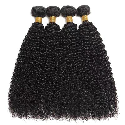 China Kinky Kinky Curly 12A Bundles With Closure Virgin Hair Bundles Kinky Brazilian Hair Bundles for sale