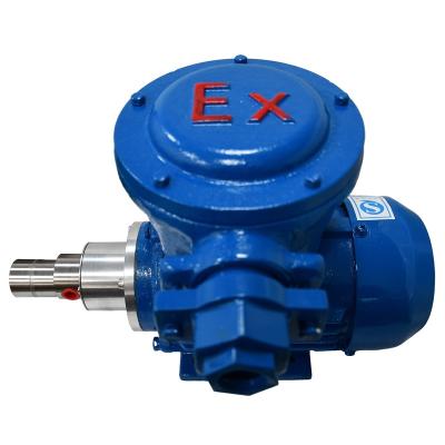 China Automotive industry explosion-proof miniature magnetic transmission gear pump for chemical industrial M0.07S57YB0.18KW2P for sale