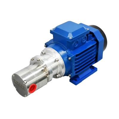 China Automotive Industry Stainless Steel Magnetic Transmission Gear Dosing Pump For Toluene And Other Organic Solvent Transfer for sale