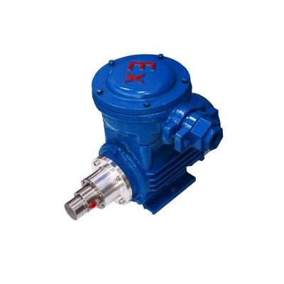 China Automotive Industry Explosion Proof Miniature Magnetically Coupled Drive Gear Pump For Chemical Industrial M0.15S57YB0.18KW2P for sale