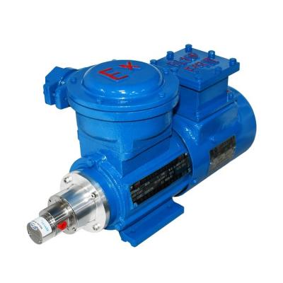 China Automotive Industry Explosion Proof Miniature Magnetically Coupled Magnetic Drive AC Fuel Pump M0.90S57YBP0.18KW4P for sale