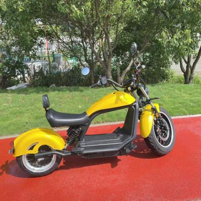 China EEC Manufacture Unisex Professional Friendly EU Warehouse For Citycoco Electric Motorcycle Battery 2000W 3000W for sale