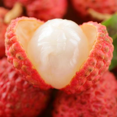 China RICO Lychee Juice Natural Drink Can Ready To Drink Instant Drink 490g for sale