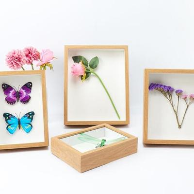 China Factory wholesale diy specimen Eco-Freindly vintage wooden frames creative glass photo for sale