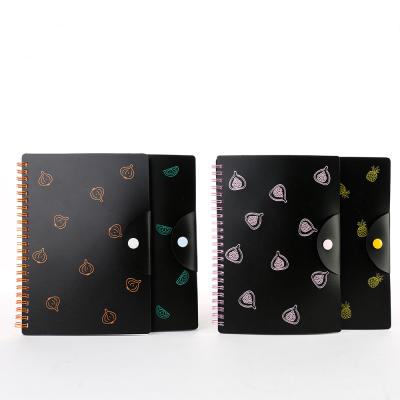 China Delijia spiral 79d012 pp cover spiral notebook for sale