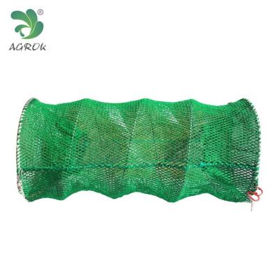 China 2 Entrences AGROK PE Trap Wire Lobster Trap Knotless Fishing Plastic Coated Fish Trap Foldable Spring Cage Big Sale for sale