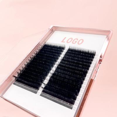 China Natural Lashes Supplier 0.05 0.07 0.10 0.15 0.20 0.25 Natural Long Lash Individual Extension Eyelash B/c/d Curl Volume Extension for sale