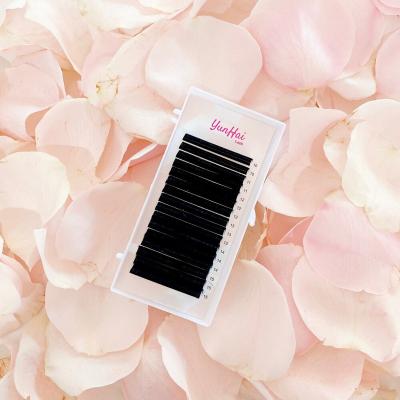 China Easy Fanning Blooming Eyelash Extension 0.03 Lash Extension Private Label Silk Pbt Natural Fiber Volume 0.05 0.07 for sale