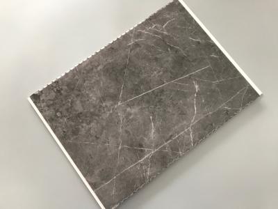 Cina Alti pannelli di parete resistenti agli urti del garage del PVC per colore dell'interno del marmo della decorazione in vendita