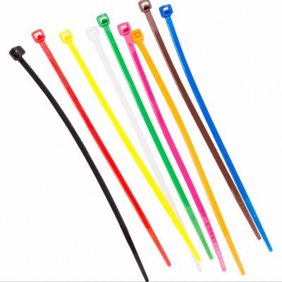 China Eco-Friendly Adjustable Self Locking 66 Plastic Cable Tie Ties Reusable Nylon Zip Ties For Binding for sale