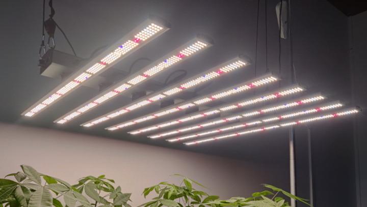 Verified China supplier - Etenlux Lighting Tech Co., Ltd.