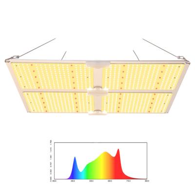 China New Starting Design 450W Mode 600 Watt Seed Led Grow Light For Indoor Plants for sale