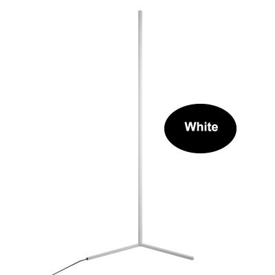 China 2021 New Arrival Modern Non-dimmable White 20W LED Floor Lamp 3000K Warm White With Foot Switch for sale