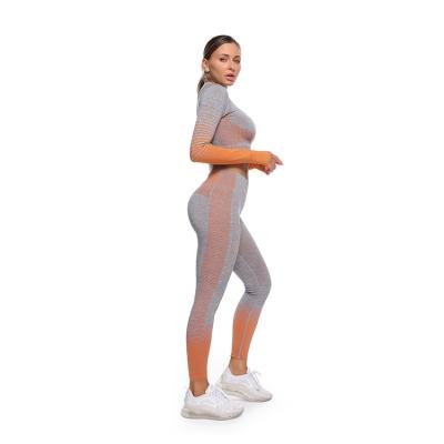 China Breathable Womens Seamless Workout Set High Waist Long Sleeve Sports Tights Set Two Piece Jogging Wear Yoga Set for sale