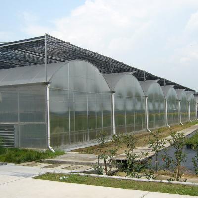 China Stable Structure Easily Assembled Cheap Self Shading System PO Film Multi-span Hydroponic Greenhouse for sale