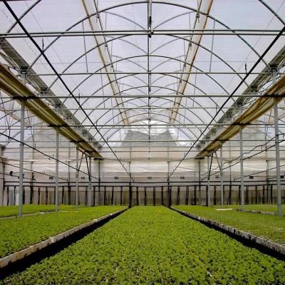 China Fruits Vegetable Flowers Small Multi-span Film Tunnel Tube Greenhouse With Automatic Control System for sale