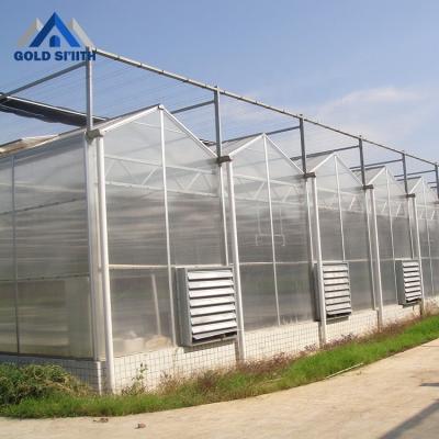 China Fruit Vegetable Flowers Polycarbonate Greenhouse Agricultural Hydroponics For Pakistan for sale