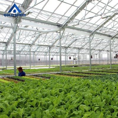 China Modern Design Vegetable Multi Function Multi Span PE Material Flowers Fruit Greenhouse For Sale for sale