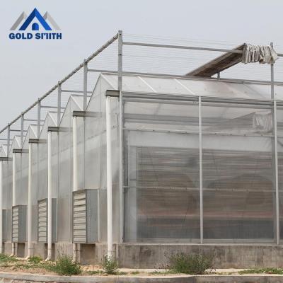 China Vegetable Fruit Flowers Made In China Steel Structure Vegetable Greenhouse Hydroponics With Good Quality for sale