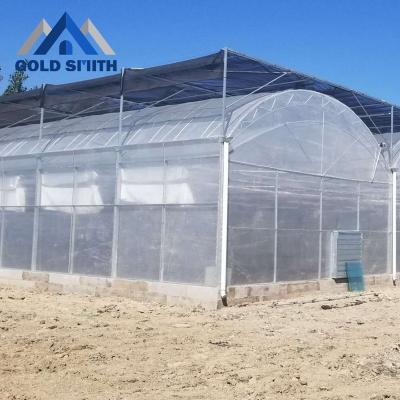 China Large Multi-span Vegetable Film Arch Hot Dipped Galvanized Steel Structure Greenhouse For Agriculture for sale