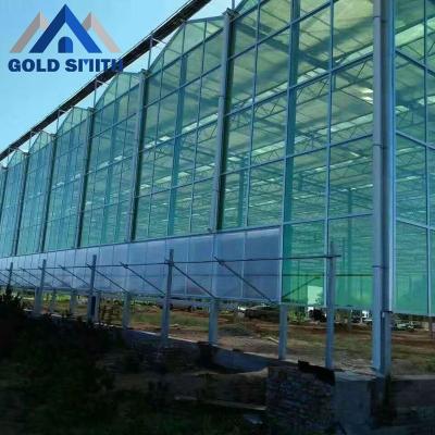 China Large Venlo Type Vegetable Flowers Fruits Hollow Glass Agriculture Greenhouse With Automatic Control System for sale